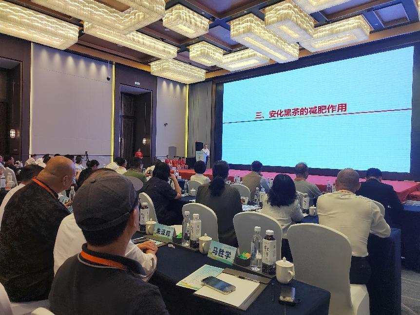 易泡科技以新质生产力赋能安化黑茶新赛道 在中国黑茶大会引关注